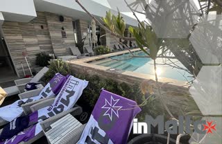 The Purple Hotels Collection